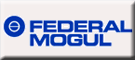 FEDERAL MOGUL